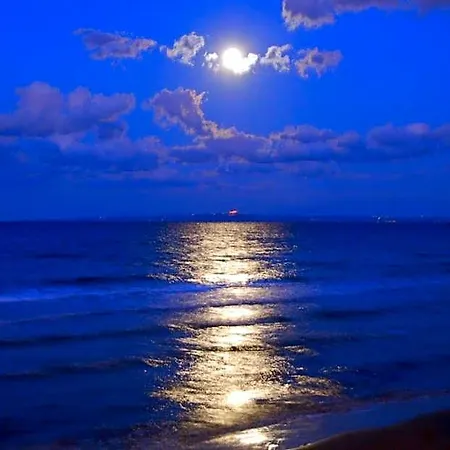 Corali 4* Tsilivi (Zakynthos)